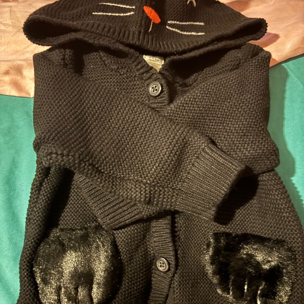 Black Cat Hooded Sweater